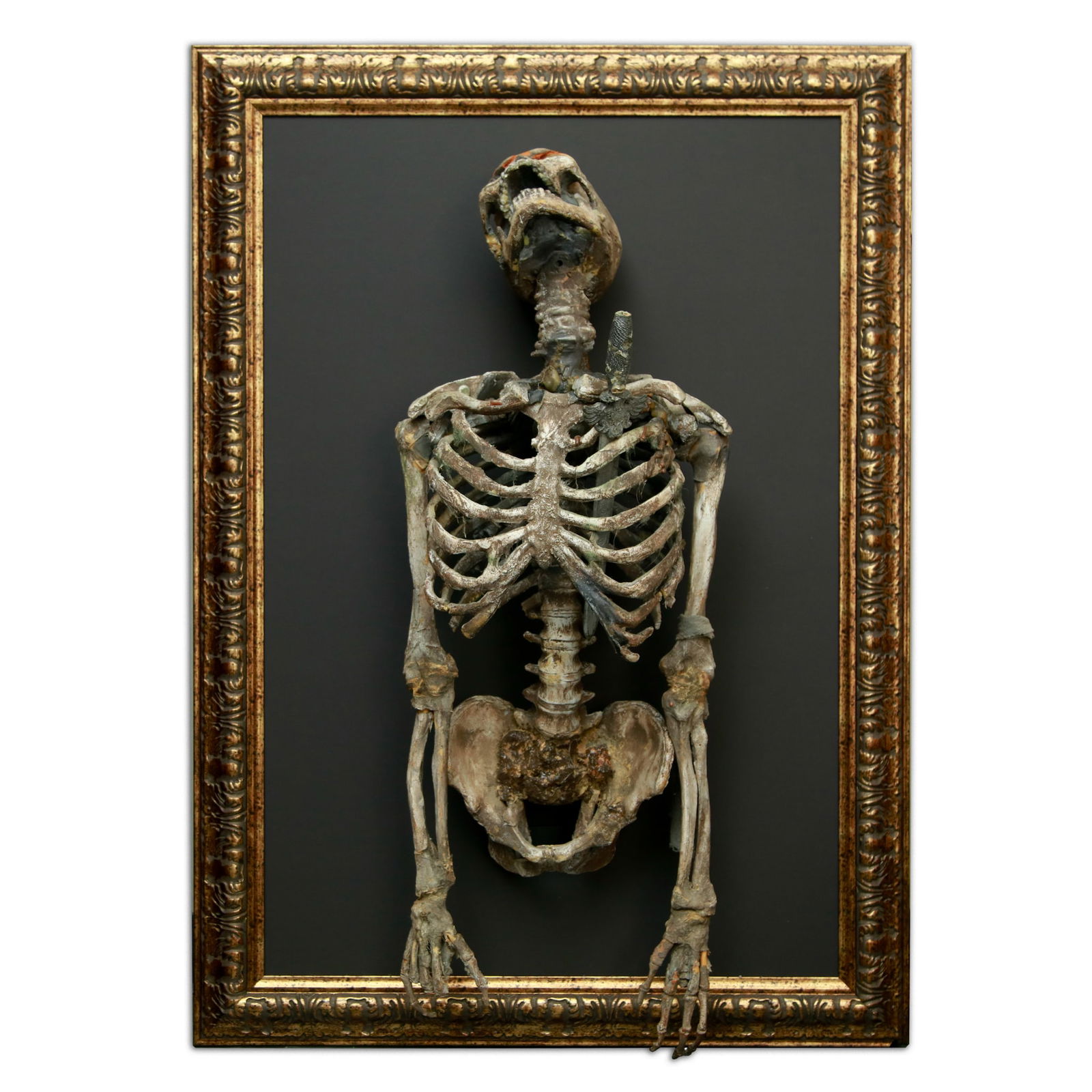 Original 3-D Skeleton Prop from "Army of Darkness" in Custom Mount (1 of 8)