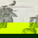item-210848515=4