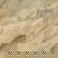 item-211340782=5
