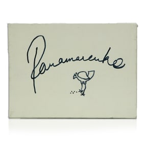 Henri Van Herwegen, known by his pseudonym Panamarenko "Rugzak box"