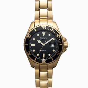 Argenti Men’s Diver Watch – 42mm Two-Tone Design