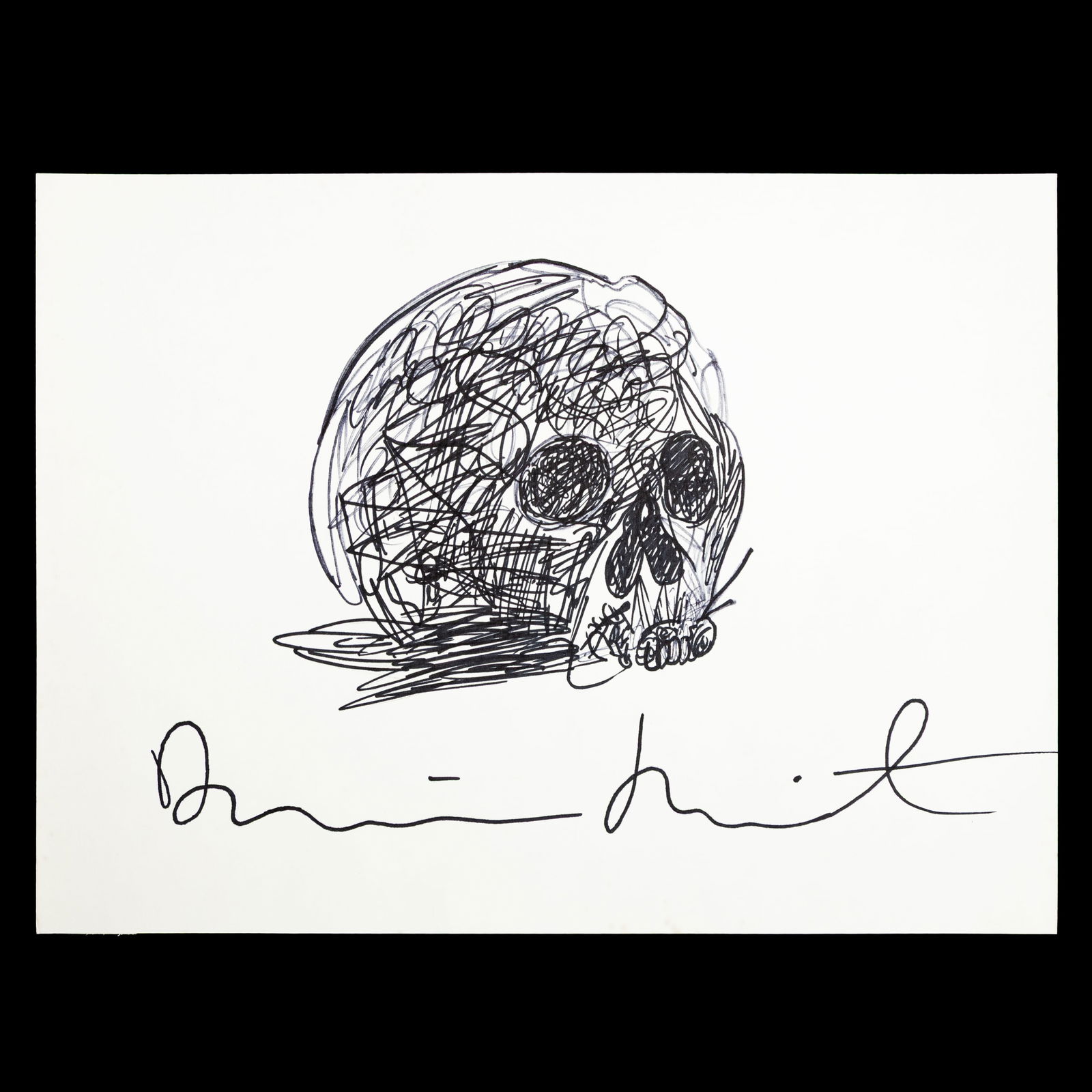 Damien Hirst – Marker Drawing of Skull (1 of 7)