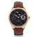IWC, PORTUGUESE, PERPETUAL CALENDAR HEMISPHERE MOON