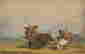 item-120636931=1