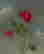 item-120636952=1