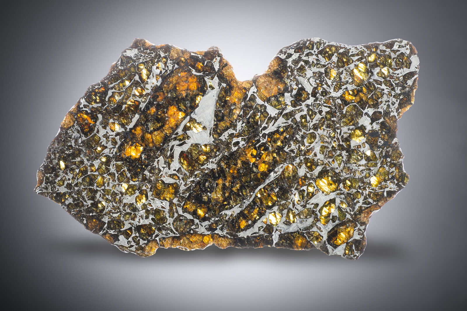 SLICE OF THE ADMIRE PALLASITE METEORITE (0005) on Apr 06, 2022 Christie's in London