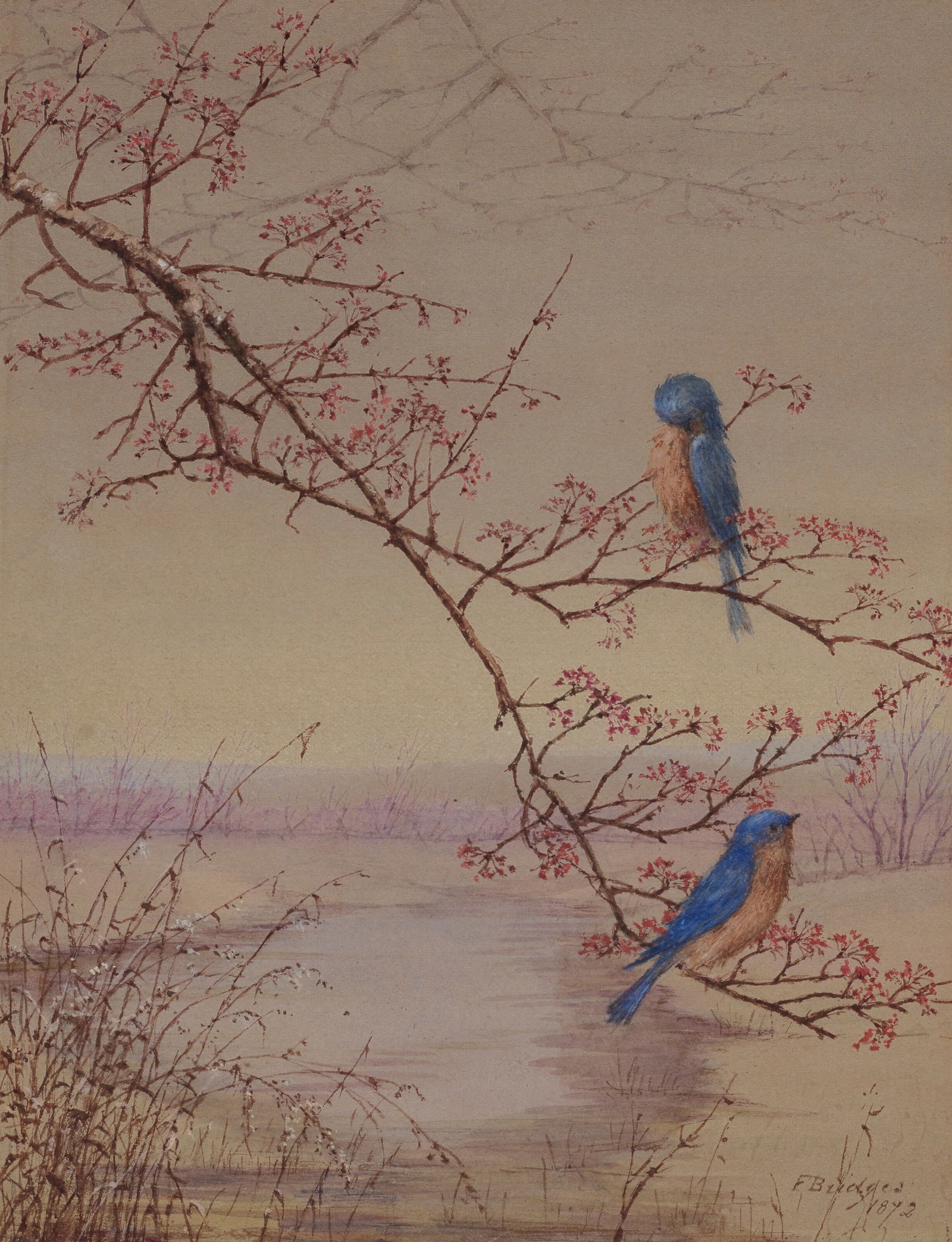 FIDELIA BRIDGES (1834-1923) Two Bluebirds on a Flowering Branch (1 of 3)