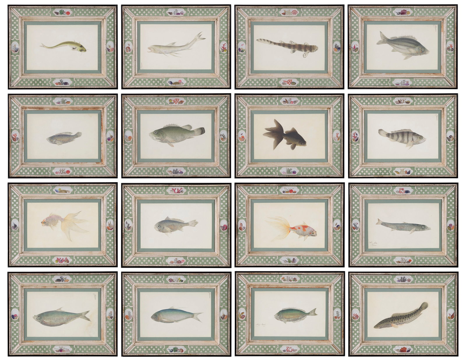 CHINESE SCHOOL (LATE 18TH CENTURY) A Set of Sixteen Studies of Fish (1 of 18)
