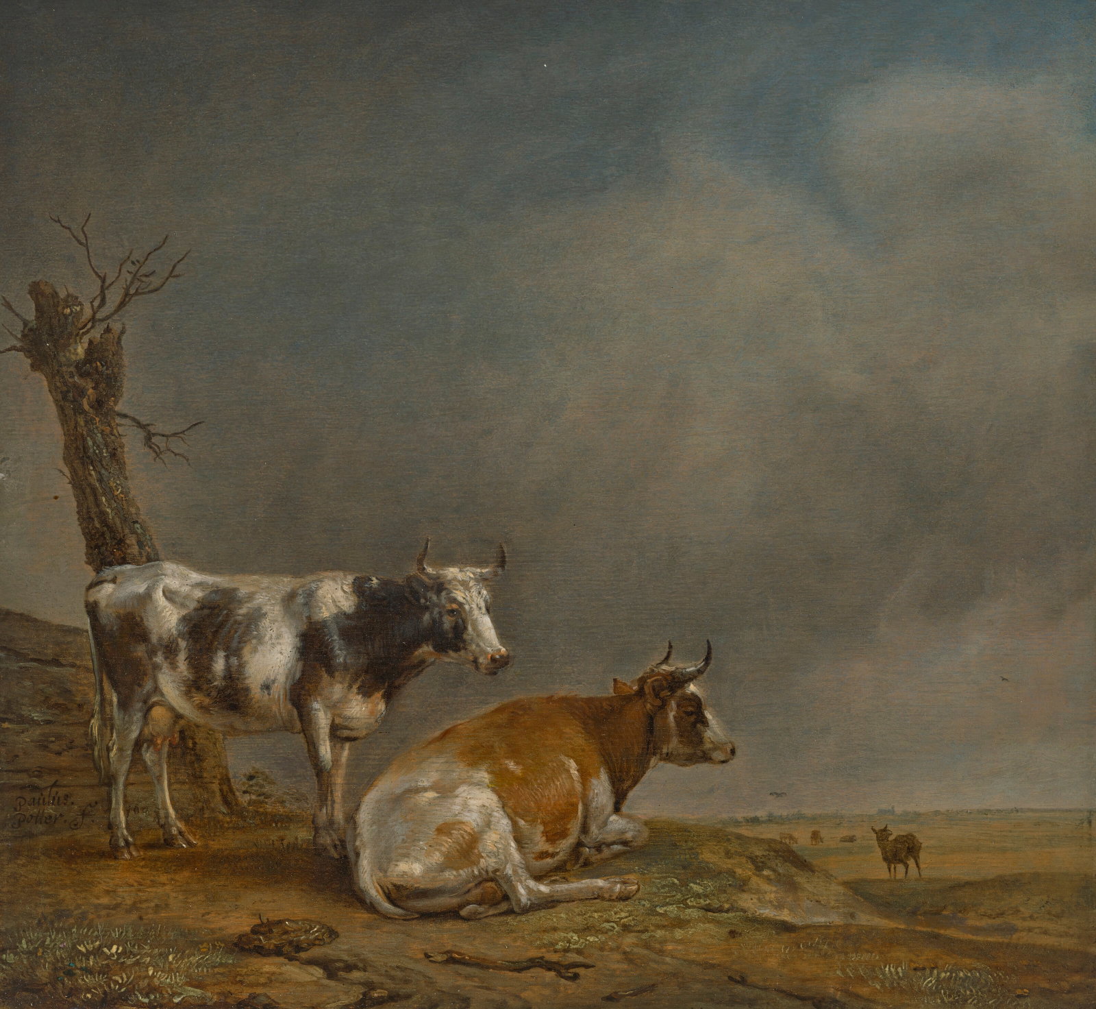 PAULUS POTTER (ENKHUIZEN 1625-1654 AMSTERDAM) Two cows next to a pollarded tree, a goat and other (1 of 1)