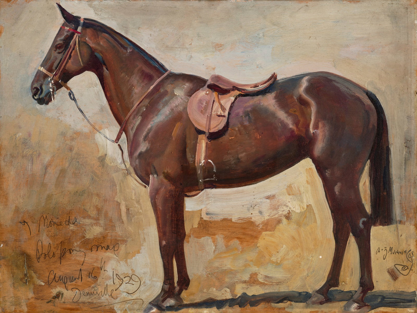 SIR ALFRED JAMES MUNNINGS, P.R.A., R.W.S. (MENDHAM 1878-1959 DEDHAM) Study of 'Moneda', a Polo Pony: Details SIR ALFRED JAMES MUNNINGS, P.R.A., R.W.S. (MENDHAM 1878-1959 DEDHAM) Study of 'Moneda', a Polo Pony signed 'A.J. Munnings' (lower right); inscribed and dated 'Moneda/Polo pony mare/August 16th