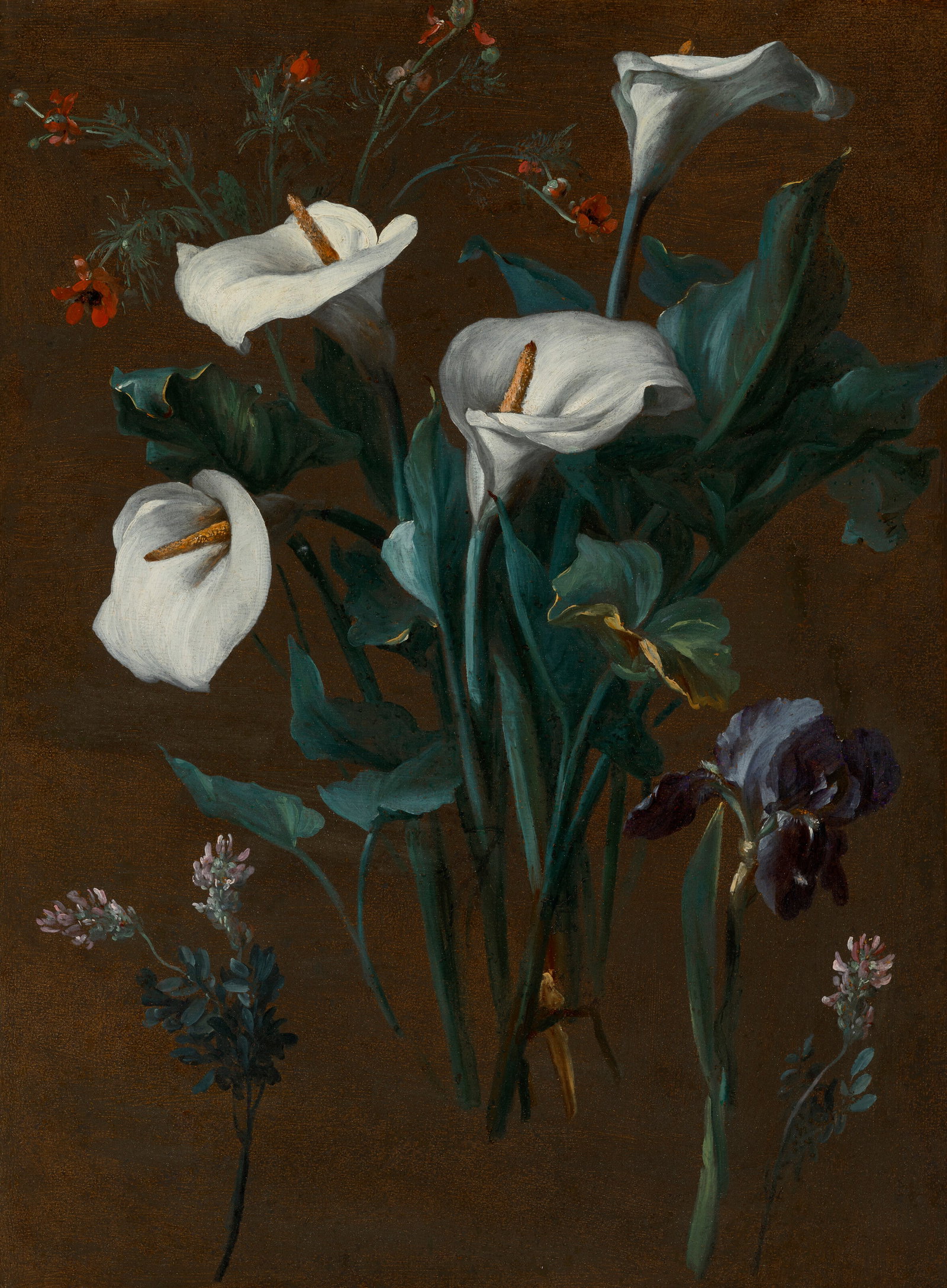 ATTRIBUTED TO ANNE VALLAYER-COSTER (PARIS 1744-1818) A study of Calla Lilies, an Iris and (1 of 1)