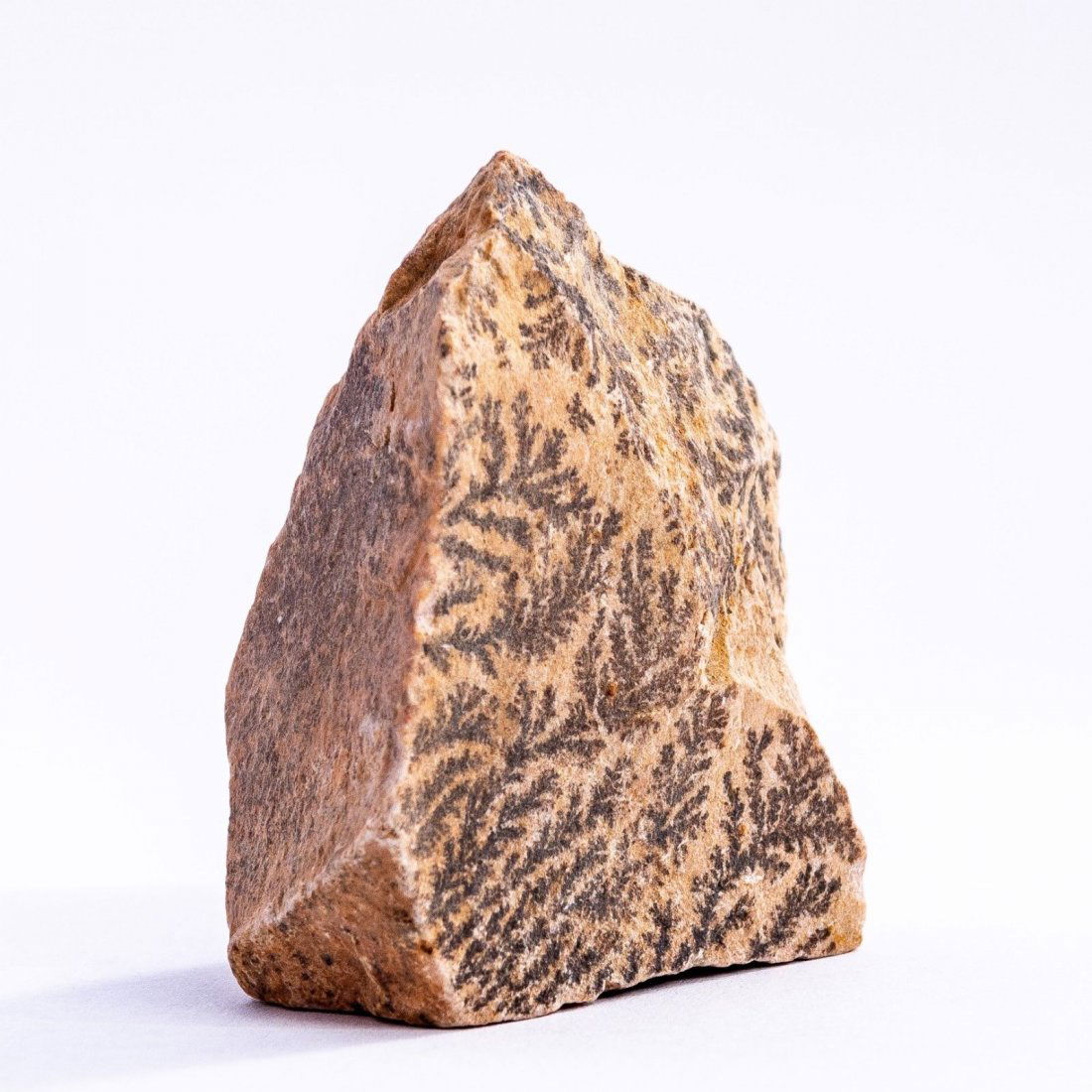 Mount Sinai Wonder Stone Burning Bush (A)! (1 of 4)