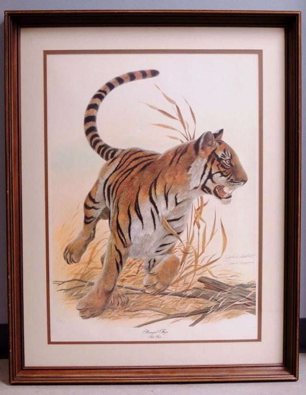 Lithograph - Bengal Tiger by John A. Ruthven: #3062 / 5000. 29 x 36.5". Local Pick up or Third Party Shipper only.