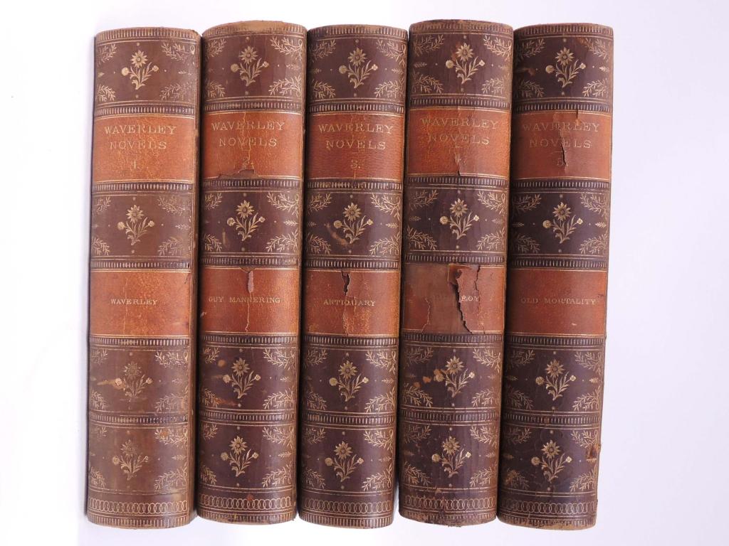 Waverly Novels - 25 Volumes: D. Appleton and Company, 1877. Library Edition.
