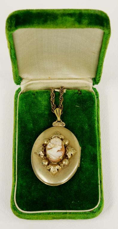Vintage Cameo Locket: Vintage cameo locket. Chain is unmarked and probably not gold.