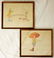 Ronald Markman Signed, 2 Colored Pencil Drawings