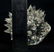 Swarovski Crystal Swan, Hedgehog, & Turtle - 4