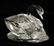 Swarovski Crystal Swan, Hedgehog, & Turtle - 5