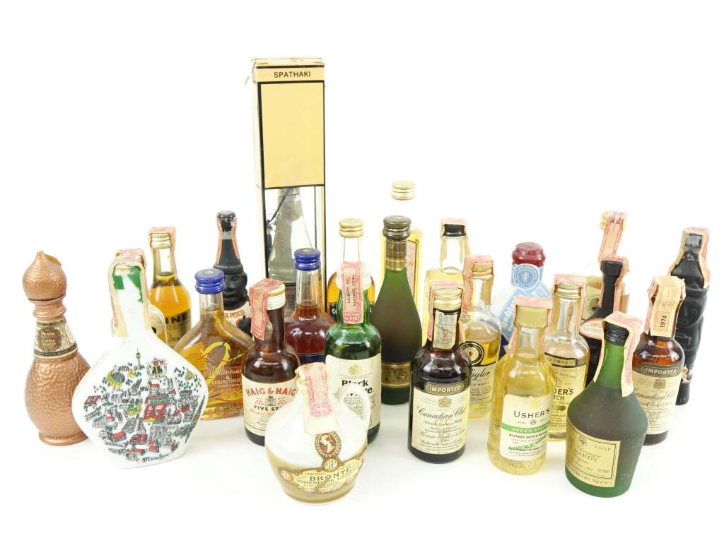 Mini Bottles (10 Whiskey out of 25 bottles): *** IF YOU MAY NEED SHIPPING YOU MUST SPEAK WITH IAN BEFORE BIDDING ON BOTTLES 847-625-0555 ***