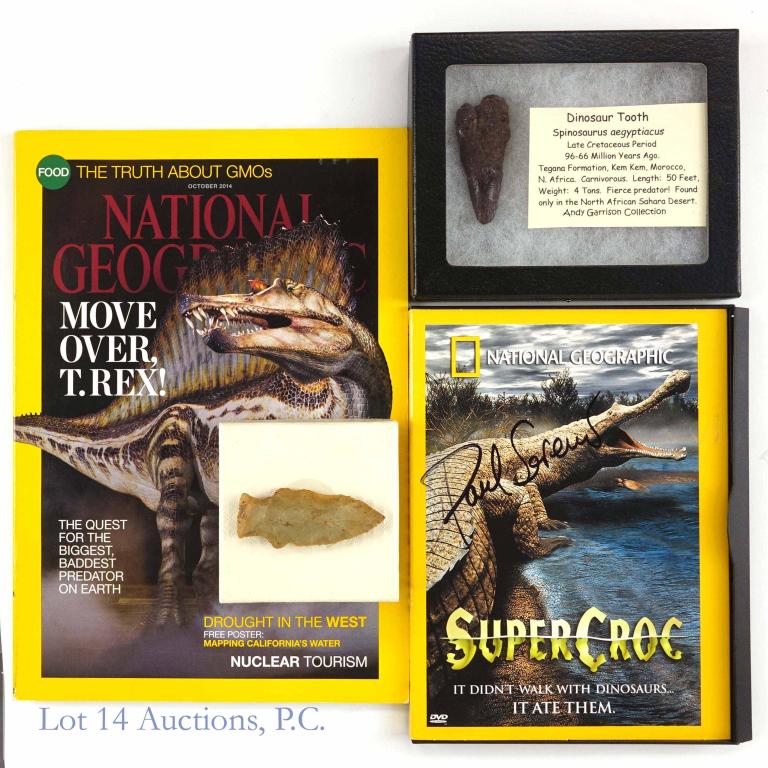Fossil Tooth and Paleontology Ephemera: Largest land predator Spinosaurus. Along with NatGeo story about find. DVD signed by Paul Sereno - University of Chicago Paleontologist. Arrow head from Wisconsin 1934.