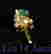 item-137249152=4