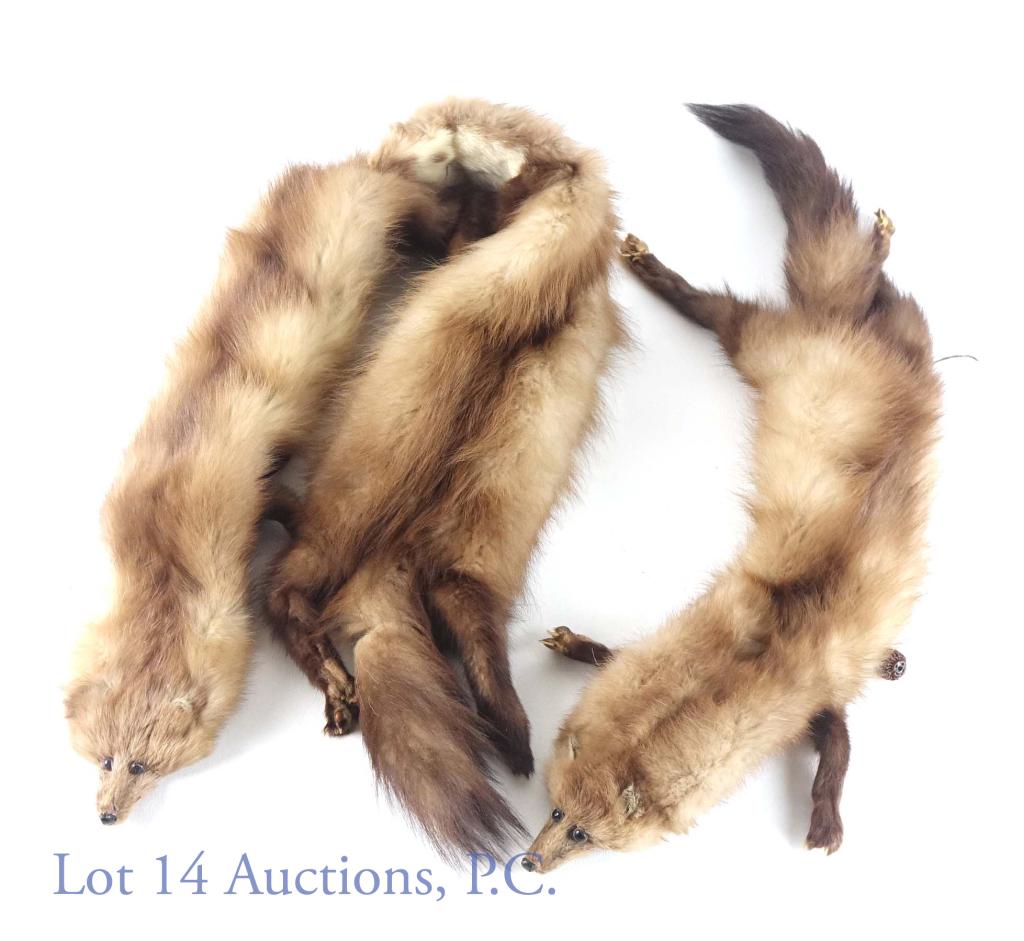 Mink Fur Collar Stoles (2 Pelt, 1 Pelt): Two mink fur collar stoles. One is 2 pelts, and one is 1 pelt. One of the pelts in the 2-pelt stole has damage to the tail (see pictures). 2-pelt measures 46", 1 pelt measures 30".