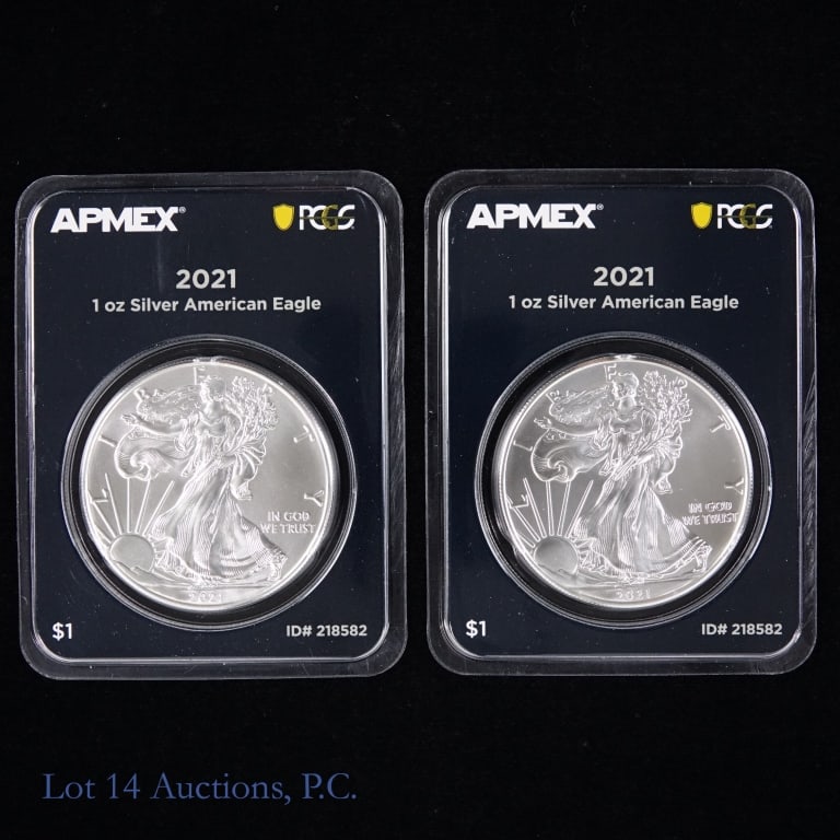 2021 Silver American Eagle $1 Bullion Coins (2) (1 of 2)