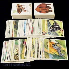 Figurine Panini Sticker Card Sets (463)