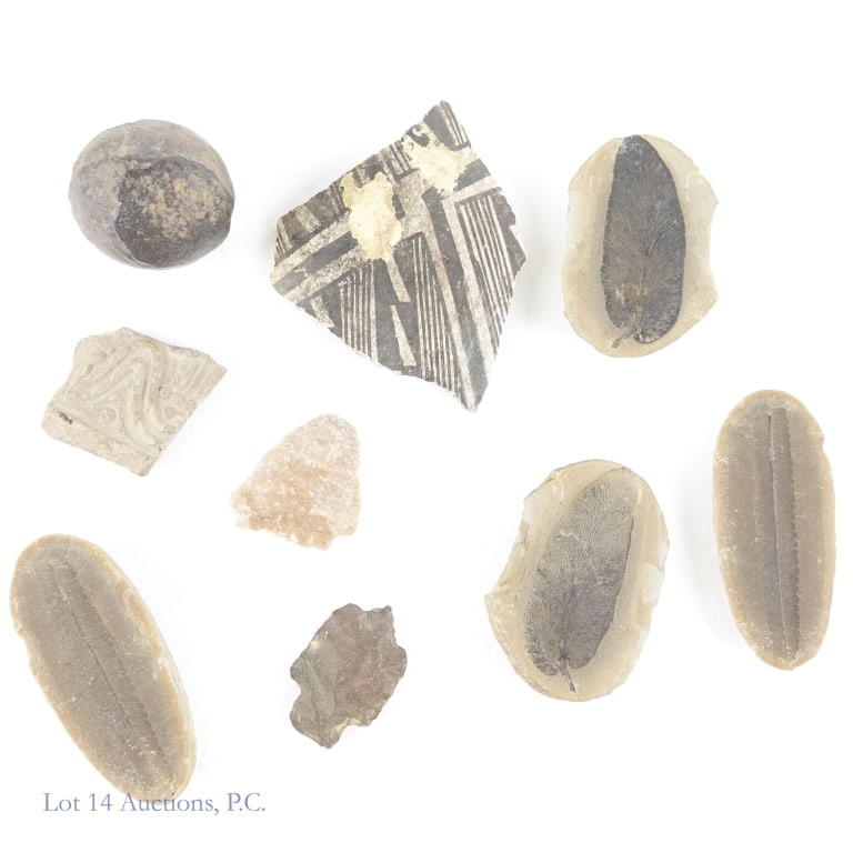 Fossils, Arrowheads, Pottery Shards, Carved Ball: Two plant fossils (both halves of each, 3.25 & 3.75" long). Two arrowheads (1.75 & 2.1"), Two pottery shards (2 x 1.75" and 3.5 x 3.75" and one carved or formed ball (approx 2" diameter, 6.6oz.).
