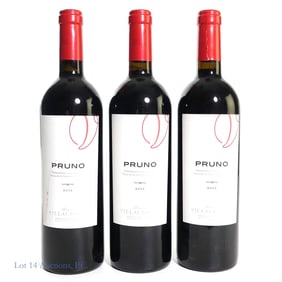 2012 Finca Villacreces Pruno Ribera del Duero (3)