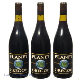 2012 Soter Vineyards Planet Oregon Pinot Noir (3)