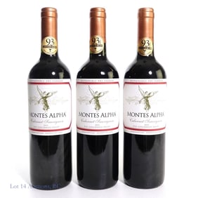 2013 Montes Alpha Colchagua Valley Cabernet (3)