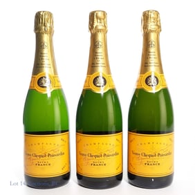 Veuve Clicquot-Ponsardin Brut Champagne (3)