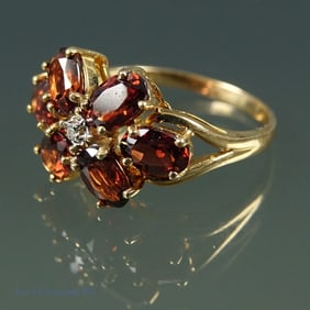 10k Y Gold Diamond & Garnet Ring