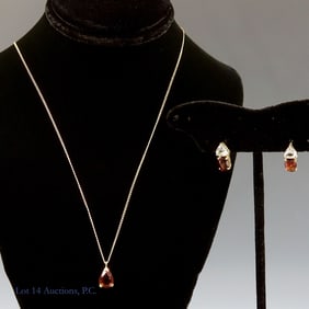 14K Y Gold Necklace & Garnet & CZ Earrings