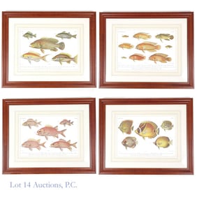 1868 Tropical Fish Lithographs (4)