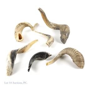 Shofars / Shofarot Rams Horn Instruments (6)