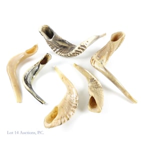 Shofars / Shofarim, Rams Horn Instruments (6)
