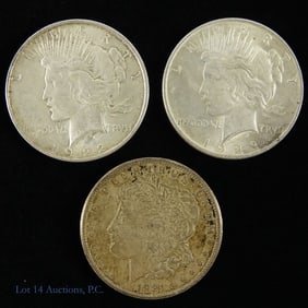 1921 - '23 USA 90%-Silver Morgan & Peace $1s (3)
