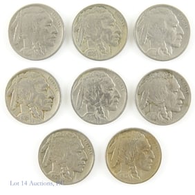 1913 - 1929 USA Buffalo Nickels (8)