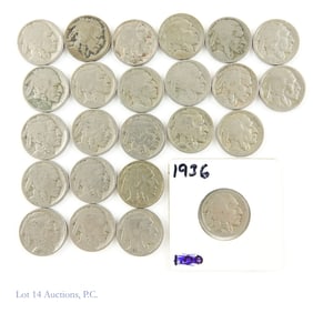 USA Buffalo Nickels (24)