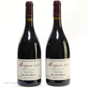 Morgon 2009 Red Wine (2)