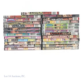 XXX DVD Porn Collection (15 Sealed / 10 Unsealed)