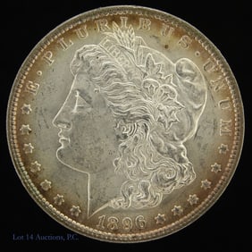 1896 (P) USA Silver Morgan $1 Bullseye Toning MS65