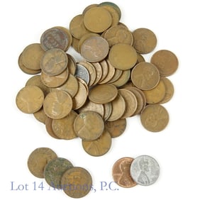 USA Indian Head & Lincoln Wheat Cents (63)