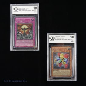 Yu-Gi-Oh! 2006 Duelist Pack BCCG 10 Cards (2)