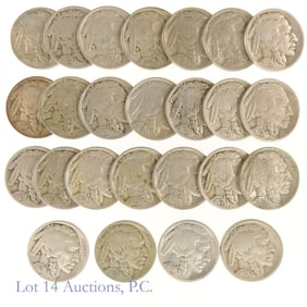 1920 - 1929 USA Buffalo Nickels (25)