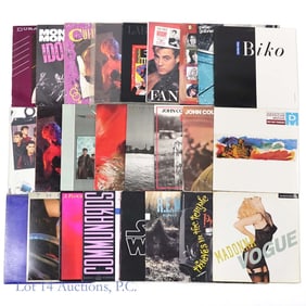 Vinyl Records 1980s New Wave, Rock, Pop (25)