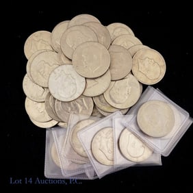 USA Clad Eisenhower Dollars (48)