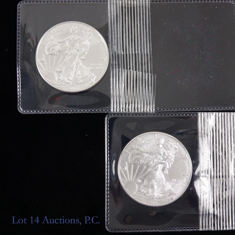 2018 (W) American Silver Eagle $1 Bullion (2) (1 of 5)